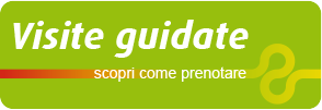 Visite guidate
